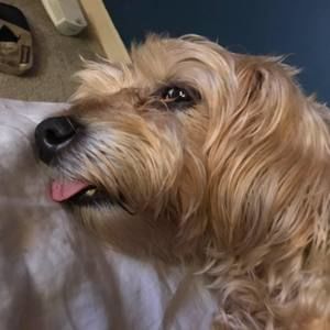 Meet your Posher, Erick